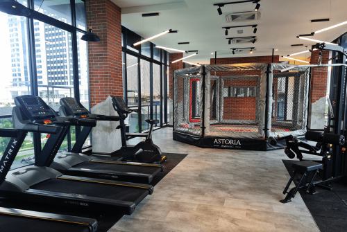 Gym interior with MMA cage, punching bags and equipment